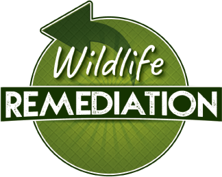 Wildlife Remediation
